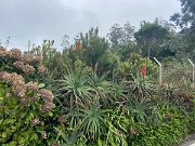 IMG_0574