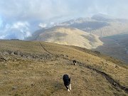 IMG_9434