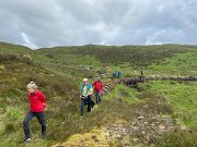 IMG_5617