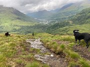 IMG_5620