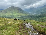IMG_5621