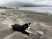 IMG_5639