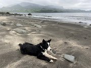 IMG_5640