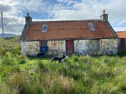 IMG_5645
