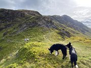 IMG_9629