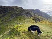 IMG_9630