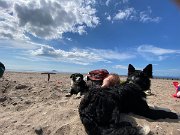 IMG_5556