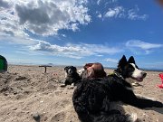 IMG_5557