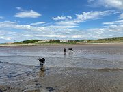 IMG_5558