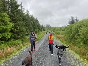 IMG_5582