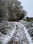 IMG_6729