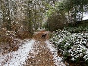 IMG_6731