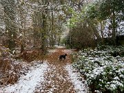 IMG_6732