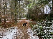 IMG_6733