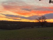 IMG_6739