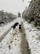 IMG_6743