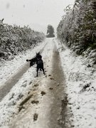 IMG_6744