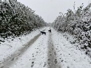 IMG_6751