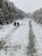 IMG_6752