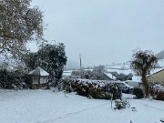 IMG_6753