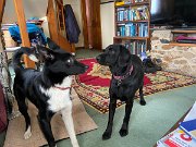 IMG_6757