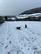 IMG_6759