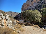 IMG_8574