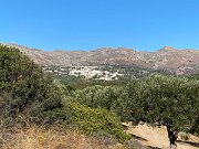 IMG_8586