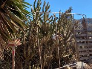 IMG_8596