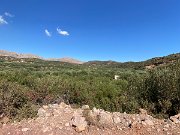 IMG_8598