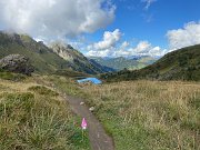 Swiss Peaks in the race (11)