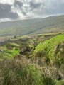 Hawes to Tan Hill (10)
